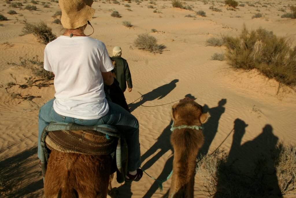 Morning Desert Safari Dubai with Arabian Team Adventures