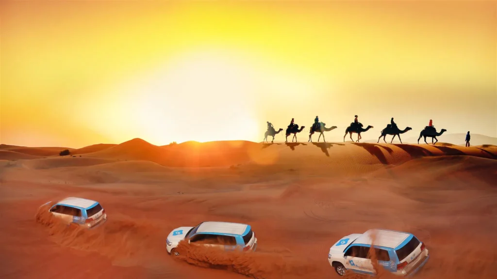 Best Desert Safari Dubai Adventure