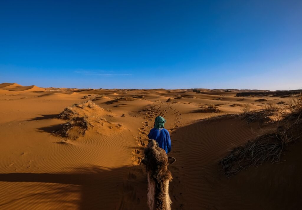 Why Desert Safari Offers the Best Thrill Experience for UAE Travelers in 2026?